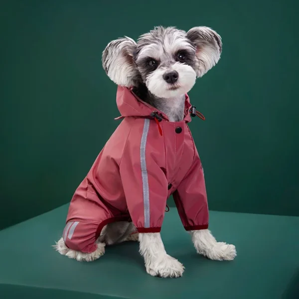 Kleiner Hund (Schnauzer-Typ) trägt rosa/korallfarbenen wasserdichten PU-Regenoverall mit Kapuze.