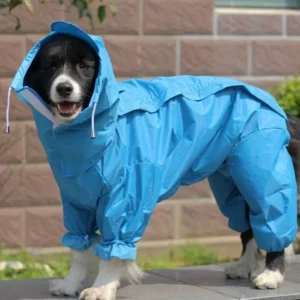 Roter Regenmantel für Hund bereit für den nächsten Spaziergang