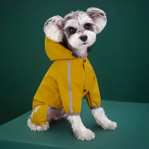 Kleiner Hund (Schnauzer-Typ) trägt gelben wasserdichten PU-Regenoverall mit Kapuze.