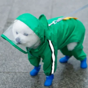 Regenjacke mit versteckter Tasche für Leckerlis