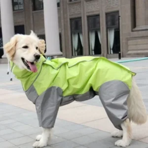 Roter Regenmantel für Hund bereit für den nächsten Spaziergang