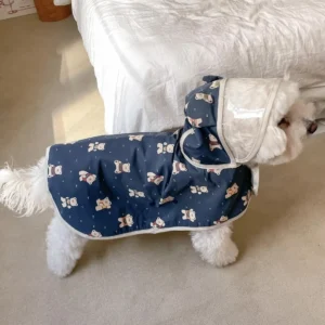 Kleiner weißer Hund (Malteser-Typ) trägt dunkelblauen Regenmantel mit Bären-Muster.