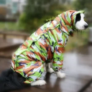 Hund trägt stylischen Hunde Regenmantel Camouflage mit Beinen