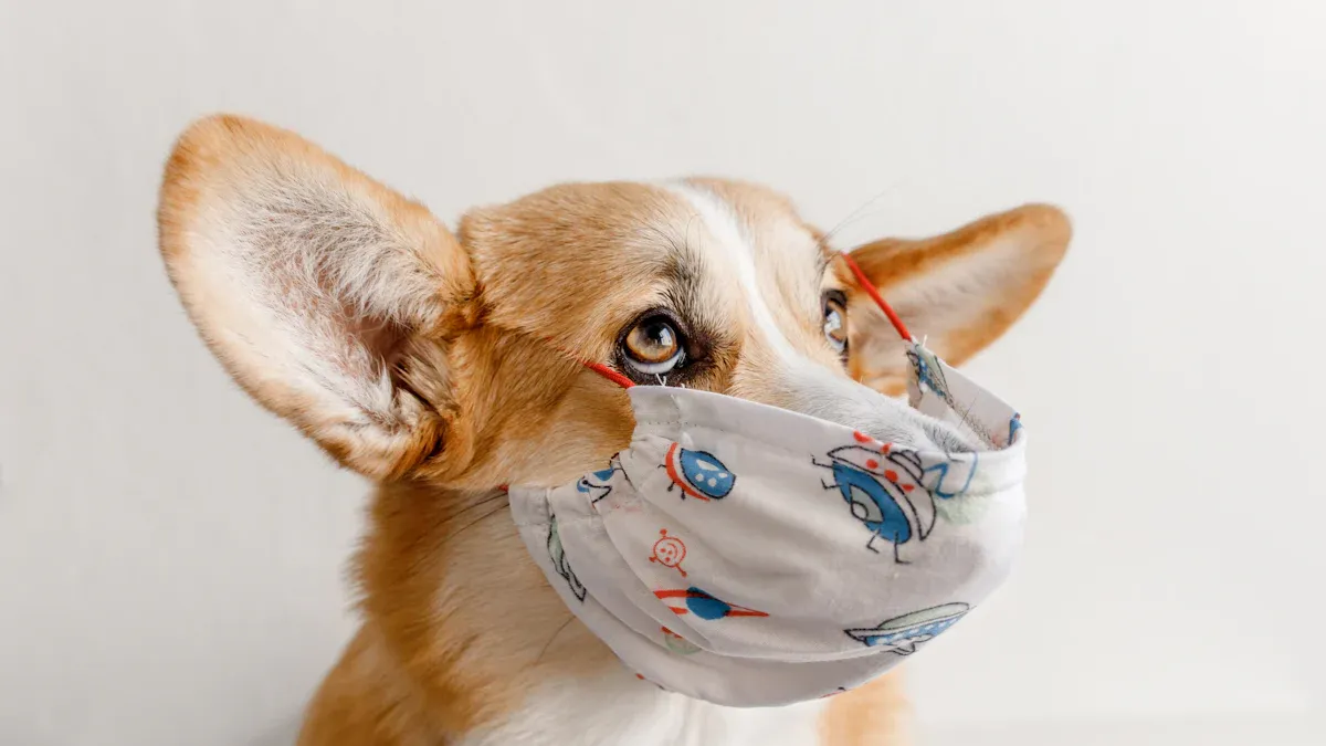 Schritt-für-Schritt-Anleitung zur Reinigung von Hunde-Schutzkleidung