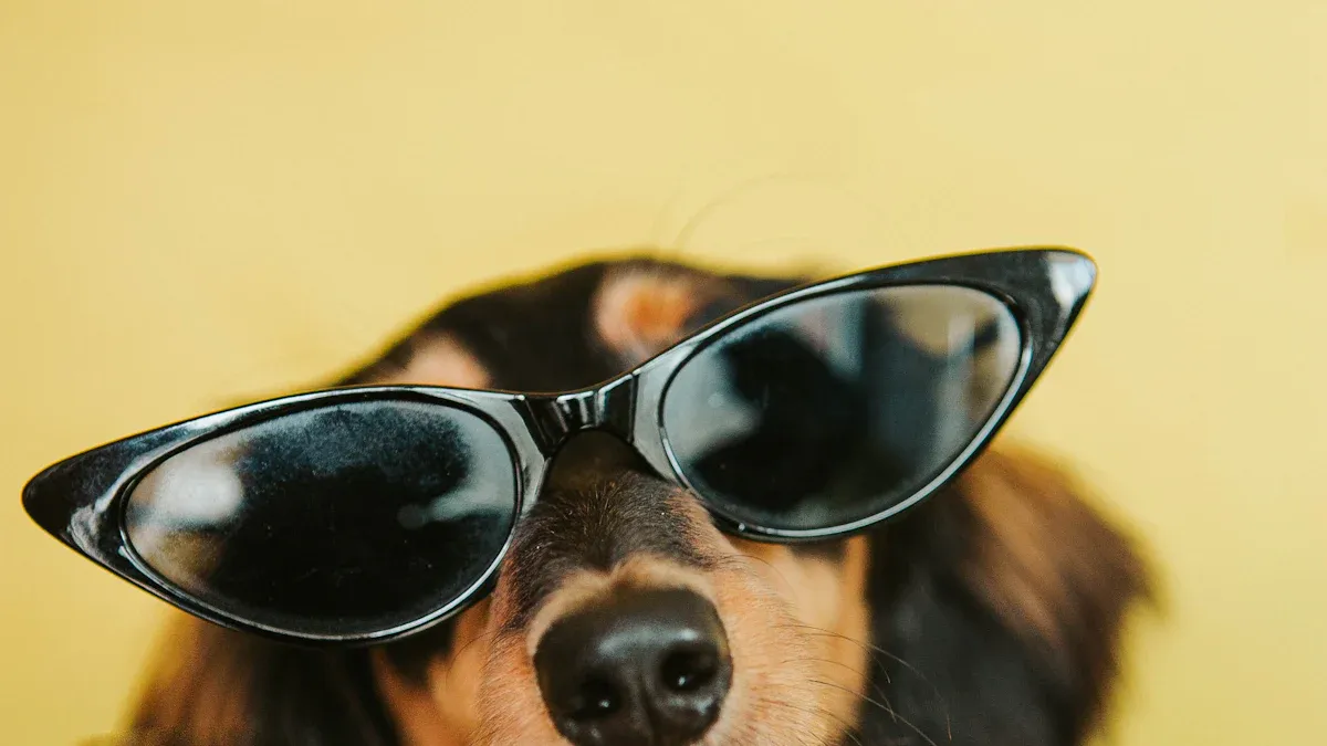 Tipps zur Gewöhnung des Hundes an die Brille