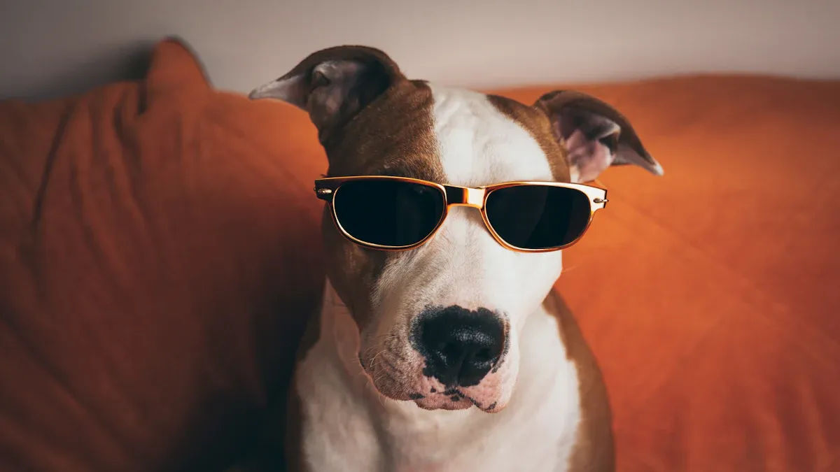 Hundebrille für kleine Hunde: Besondere Anforderungen