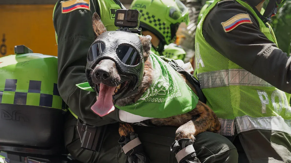Umgang mit Gerüchen bei Hunde-Schutzkleidung