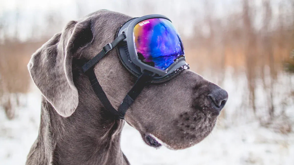 Die richtige Hundebrille auswählen: Größentabelle und Passform-Guide für jede Rasse