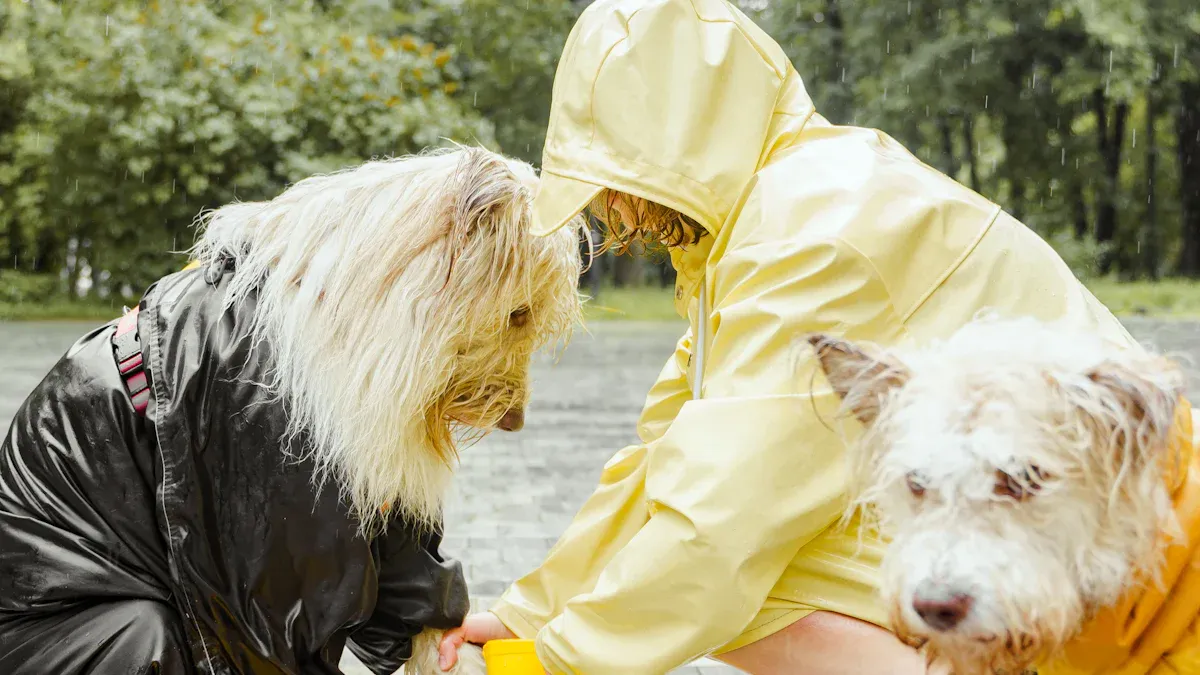 Praktische Tipps für den Spaziergang im Regen