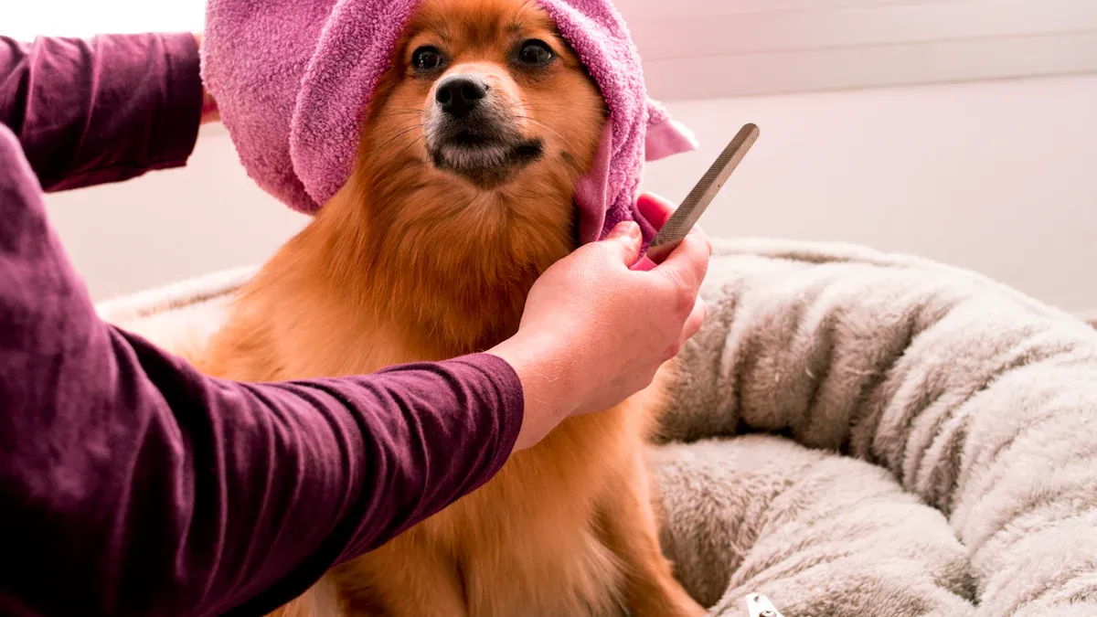 Verbesserte Pflege für ältere Hunde/Hunde mit besonderen Bedürfnissen