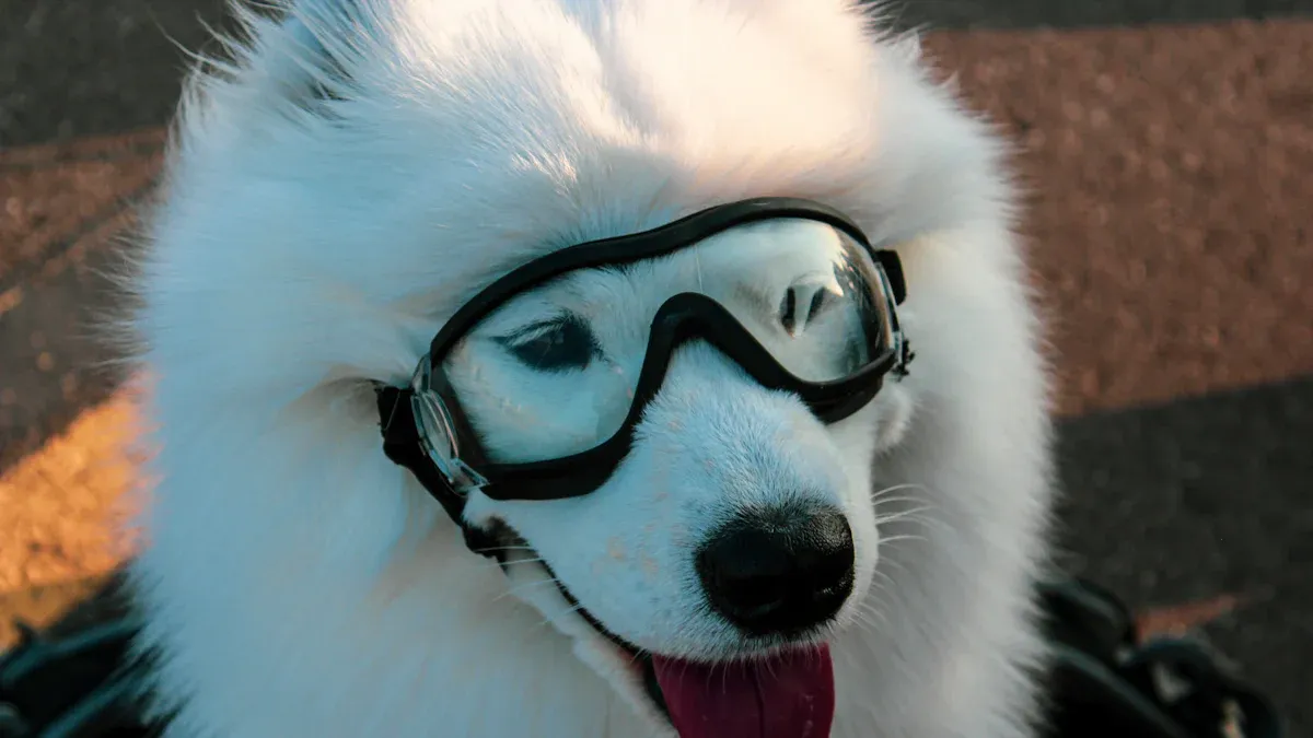 Hundebrillen 2025: Die neuesten Trends und Vorteile