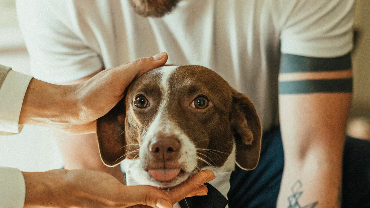 Die Ausgangssituation: Ein Hund in ständiger Unruhe