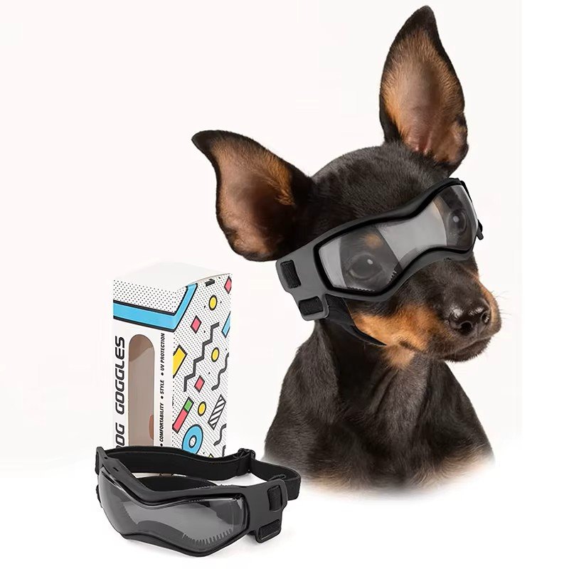 Perfekte Passform: So finden Sie die ideale Hundebrille
