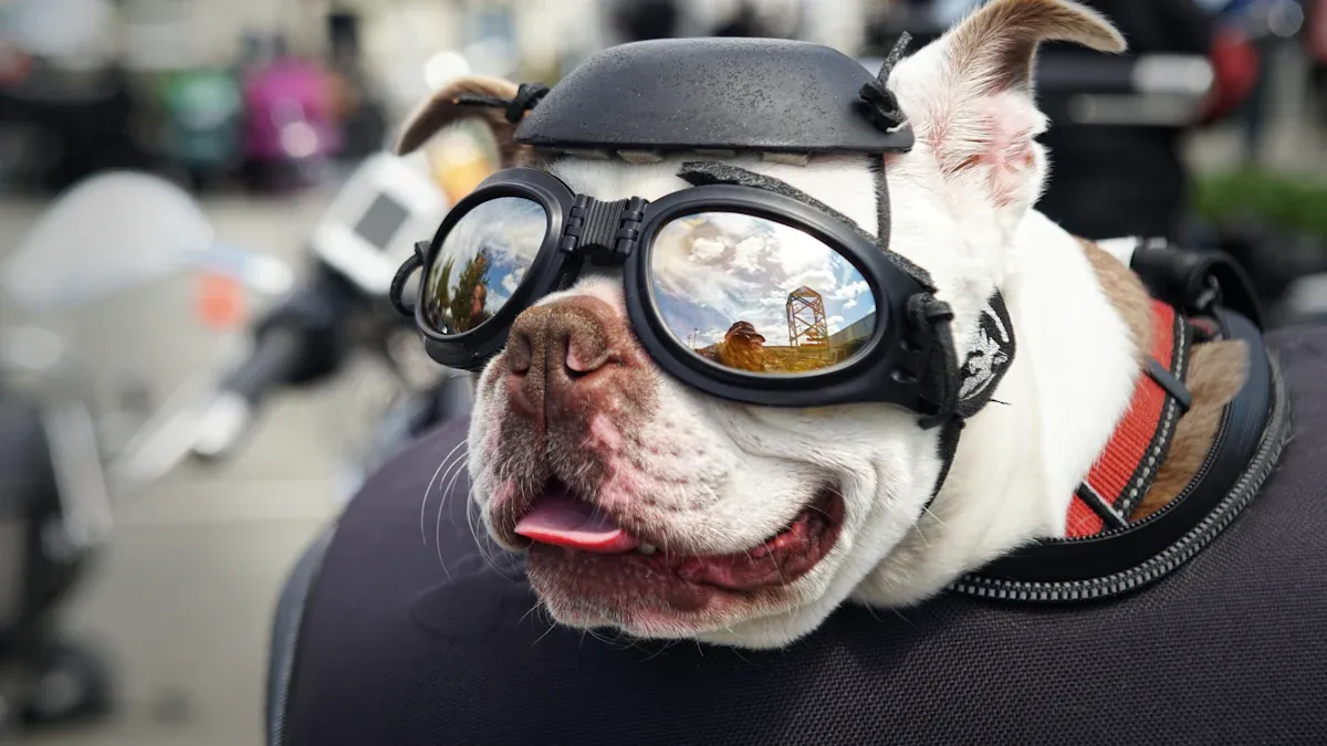 Trends 2025 – Innovationen bei der Brille für Hunde