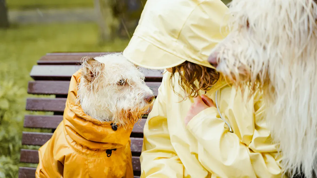 Die Herausforderungen für kurzhaarige Hunde bei Kälte und Regen