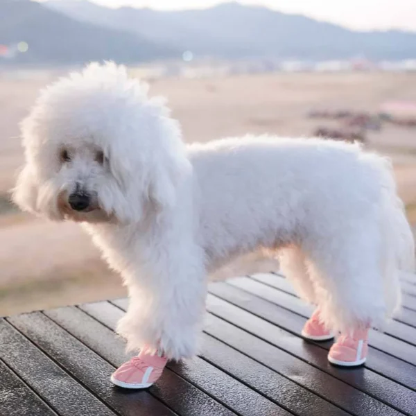 Hundeschuhe Booties atmungsaktiv für optimalen Komfort