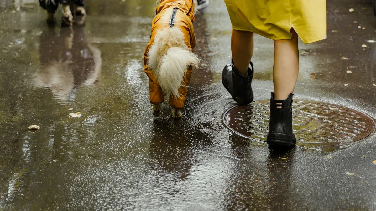 Hunde-Regenmäntel für jede Jahreszeit