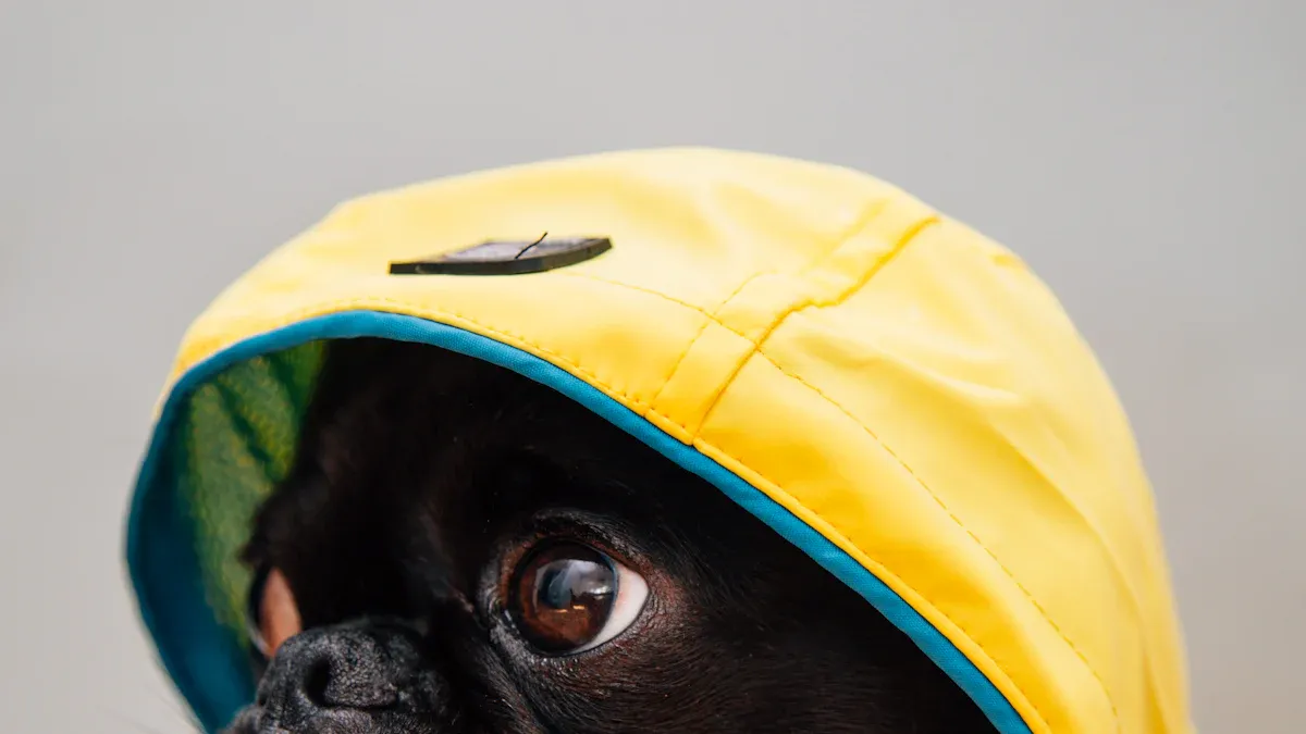 Regenspaziergang mit Stil: Die schönsten Hunde-Regenmäntel für jeden Geschmack