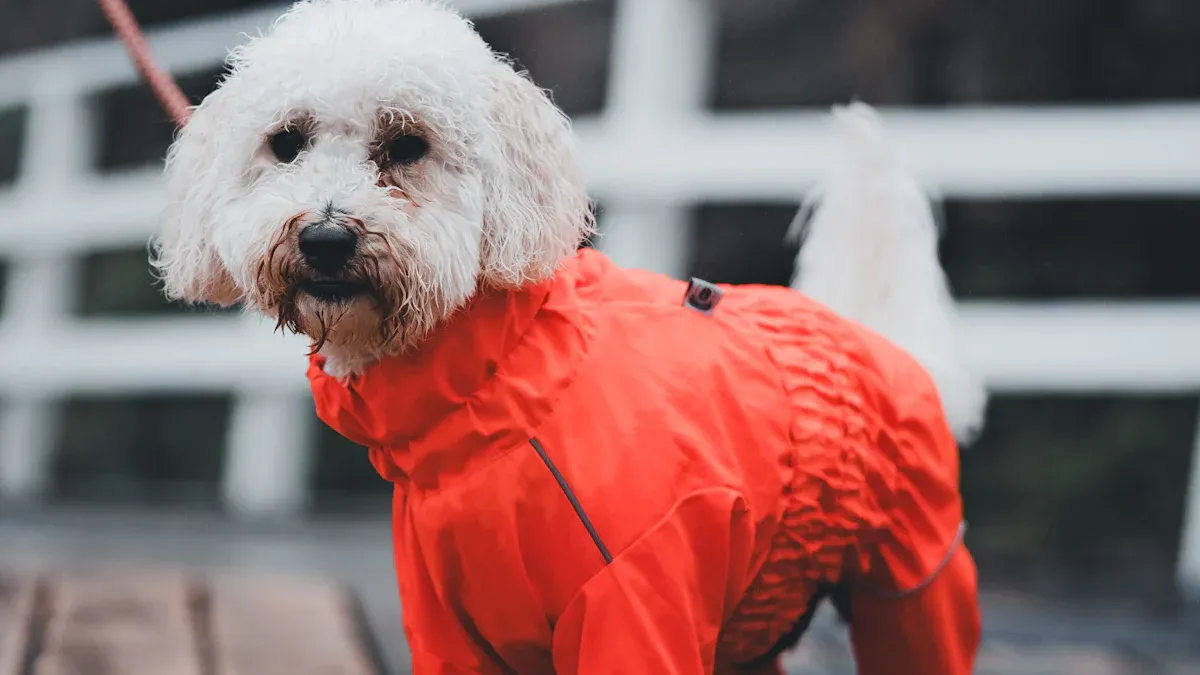 Hund auf Reisen: Wetterschutz